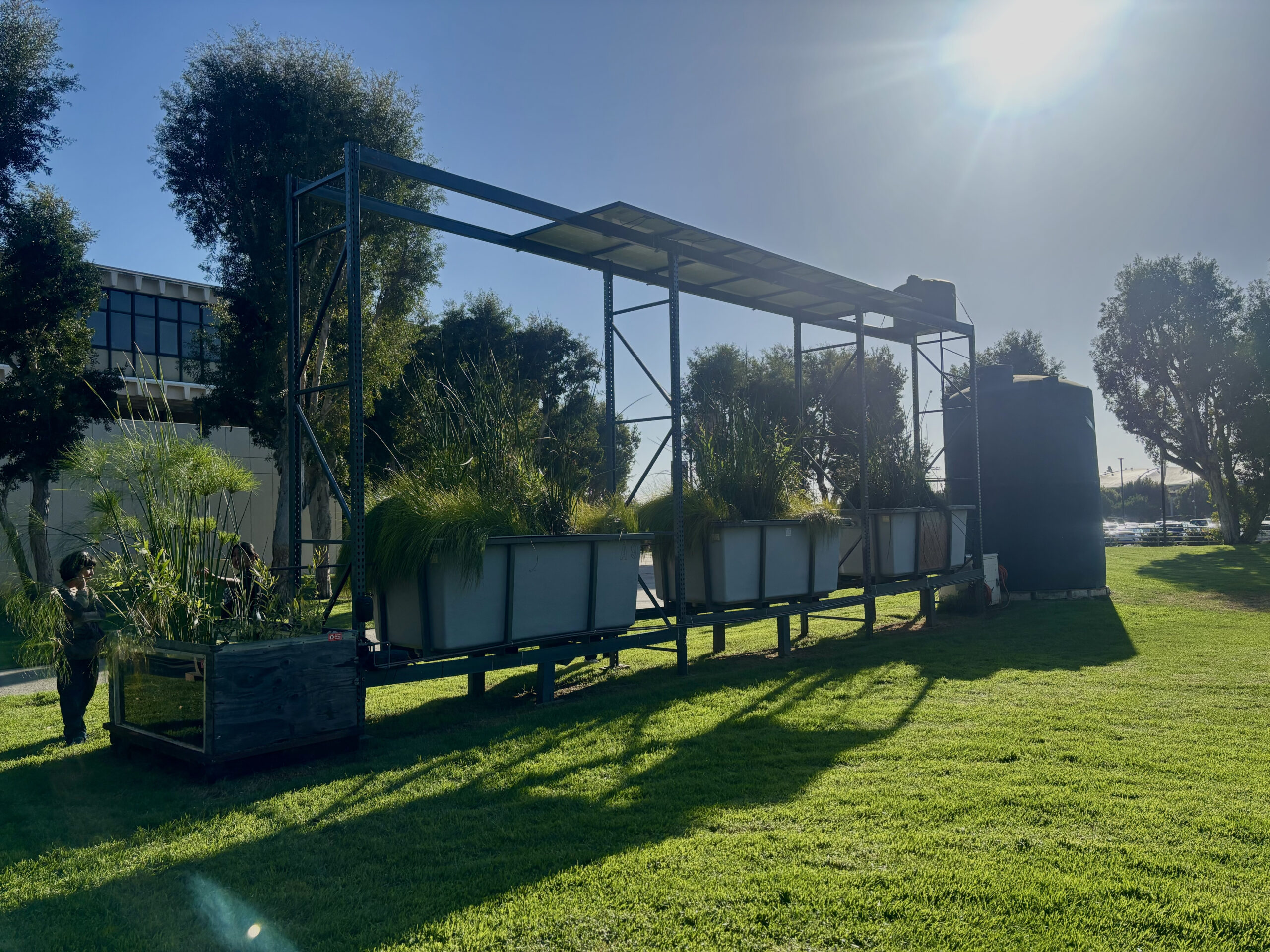 Photo of sculpture on a green lawn