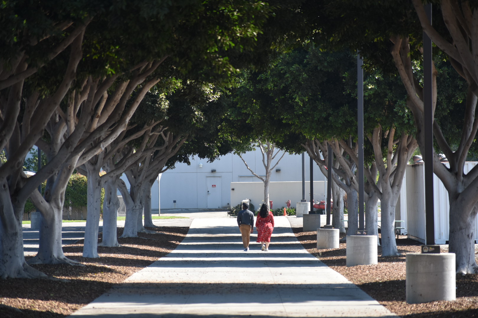 More green space could add life to campus