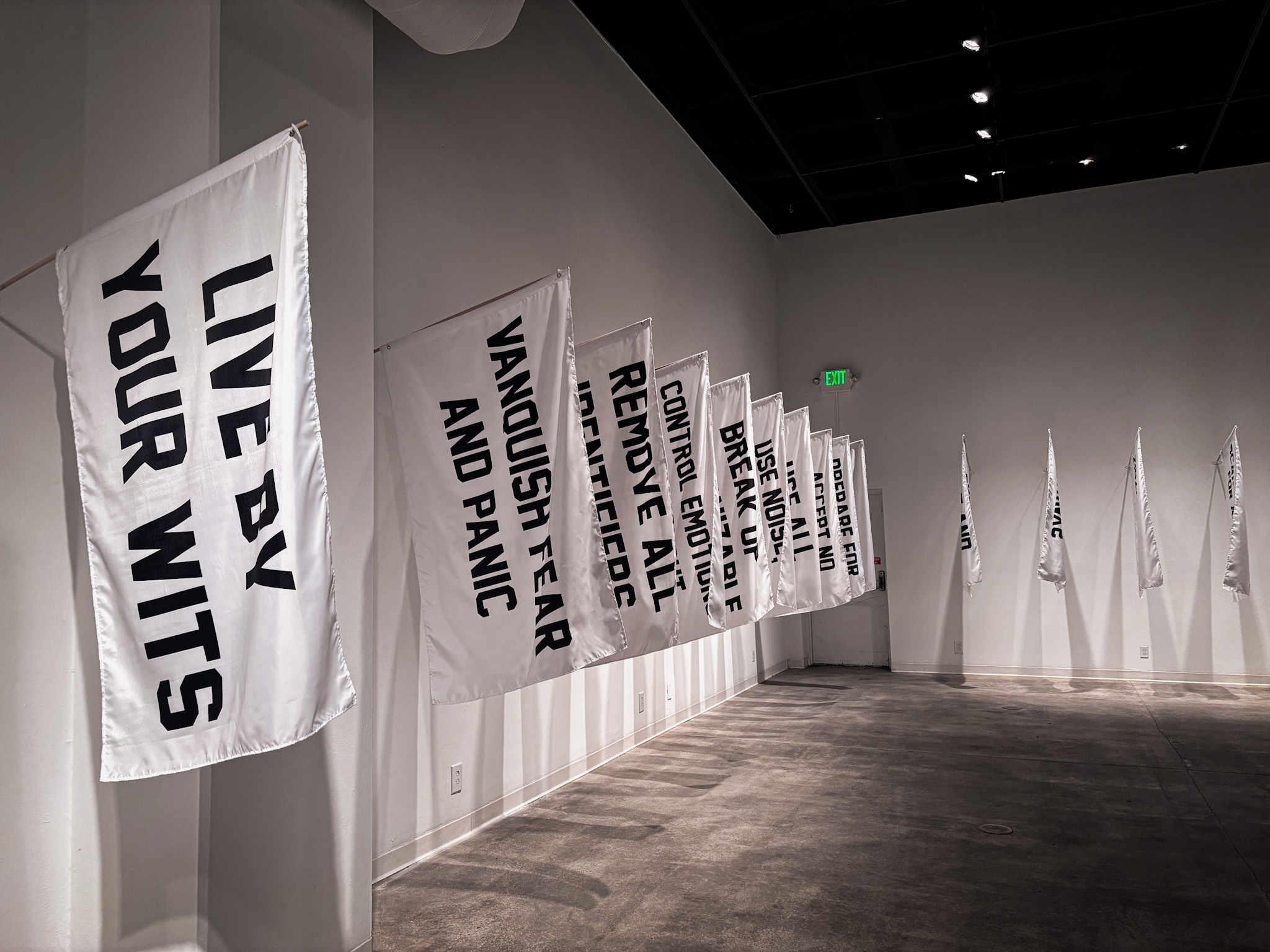 ‘White Flags’ exhibit at University Art Gallery demands resistance or surrender